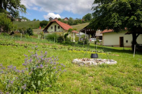 Domačija Vesel